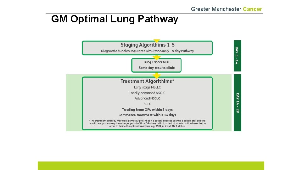 Greater Manchester Cancer GM Optimal Lung Pathway 
