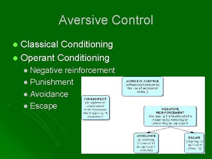 Aversive Control Classical Conditioning l Operant Conditioning l l Negative reinforcement l Punishment l