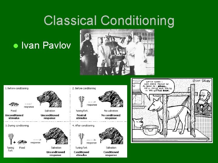 Classical Conditioning l Ivan Pavlov 