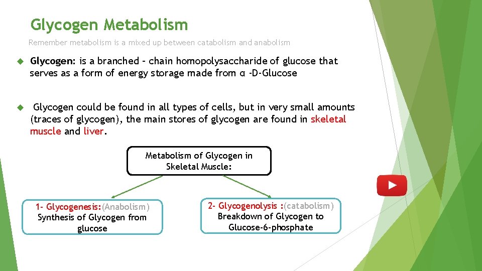 Glycogen Metabolism Remember metabolism is a mixed up between catabolism and anabolism Glycogen: is