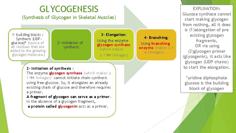 GLYCOGENESIS (Synthesis of Glycogen in Skeletal Muscles) 1 - building blocks : Synthesis (UDPglucose)*