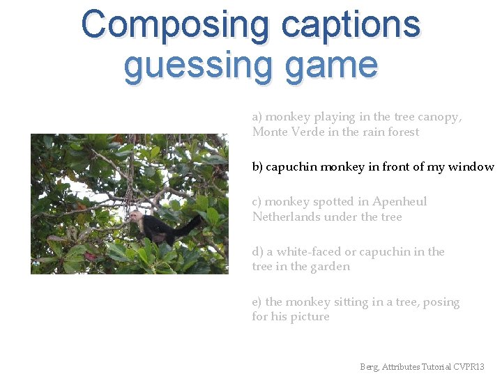 Composing captions guessing game a) monkey playing in the tree canopy, Monte Verde in