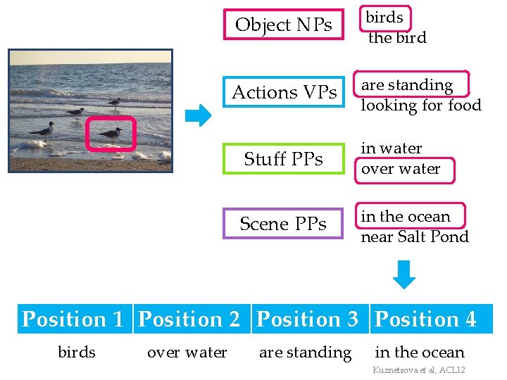 Object NPs birds the bird Actions VPs are standing looking for food Stuff PPs