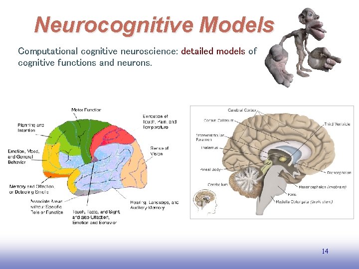 Neurocognitive Models Computational cognitive neuroscience: detailed models of cognitive functions and neurons. 14 EE