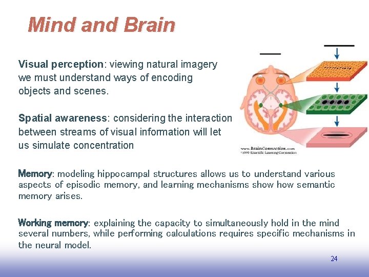 Mind and Brain Visual perception: viewing natural imagery we must understand ways of encoding