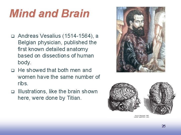 Mind and Brain q q q Andreas Vesalius (1514 -1564), a Belgian physician, published