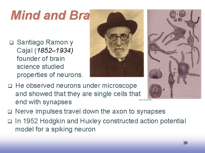 Mind and Brain q q Santiago Ramon y Cajal (1852– 1934) founder of brain
