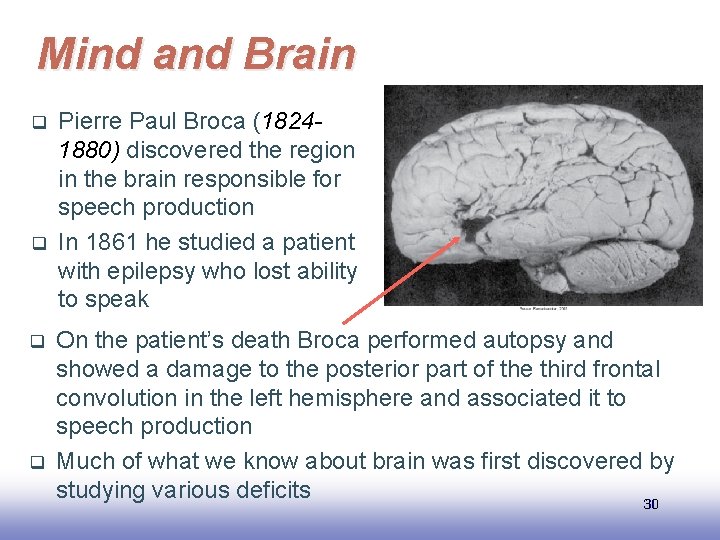 Mind and Brain q q Pierre Paul Broca (18241880) discovered the region in the