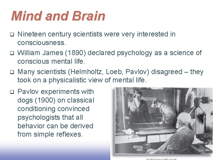 Mind and Brain q q Nineteen century scientists were very interested in consciousness. William