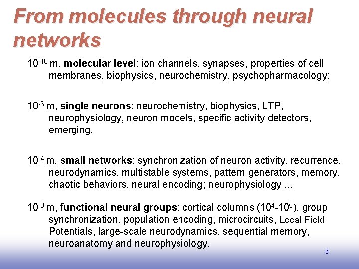 From molecules through neural networks 10 -10 m, molecular level: ion channels, synapses, properties
