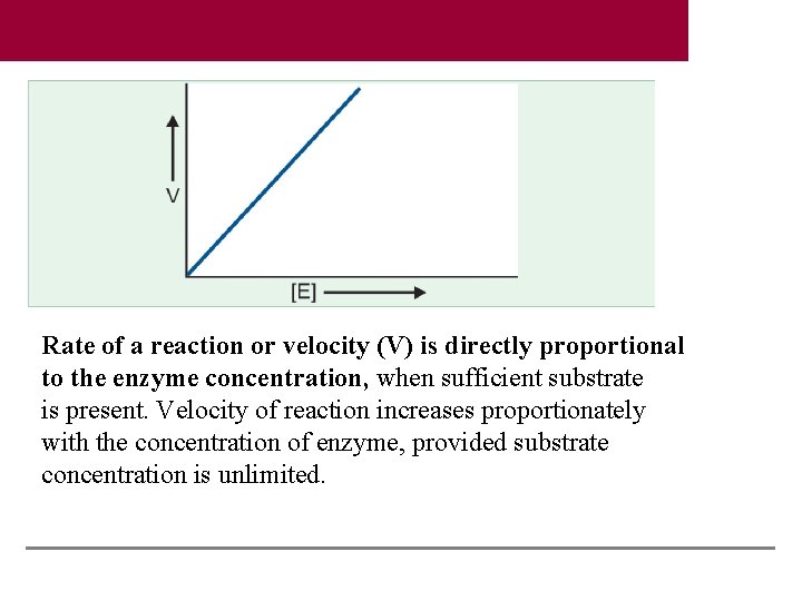 Rate of a reaction or velocity (V) is directly proportional to the enzyme concentration,