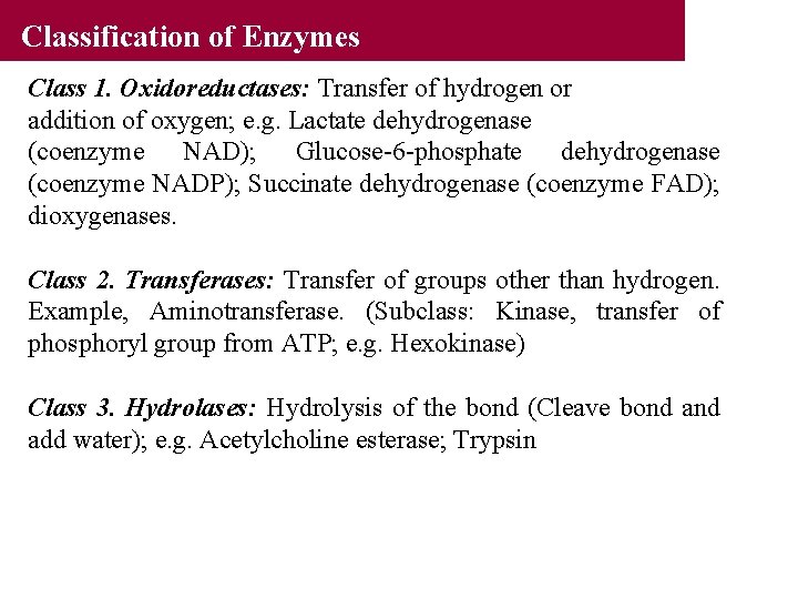 Classification of Enzymes Class 1. Oxidoreductases: Transfer of hydrogen or addition of oxygen; e.