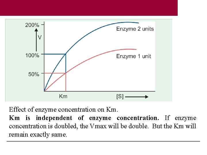 Effect of enzyme concentration on Km. Km is independent of enzyme concentration. If enzyme