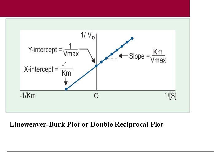 Lineweaver-Burk Plot or Double Reciprocal Plot 
