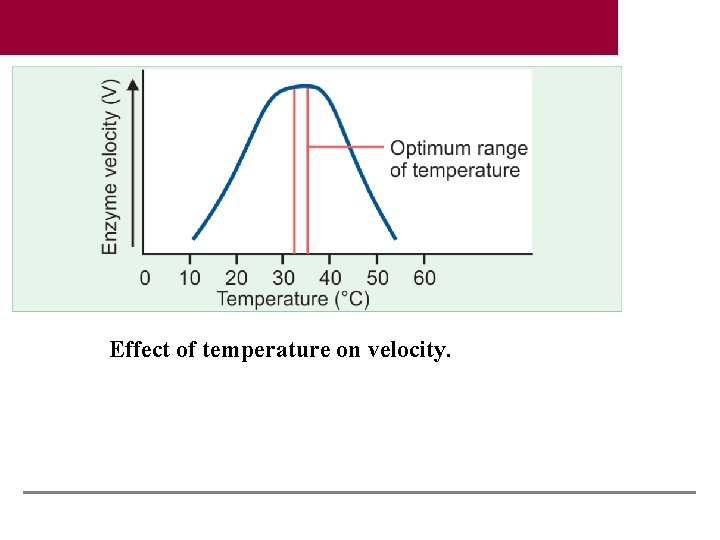 Effect of temperature on velocity. 