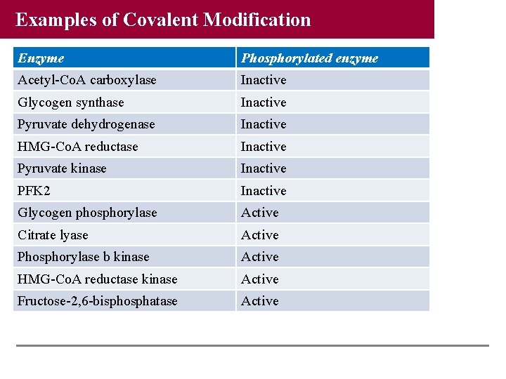 Examples of Covalent Modification Enzyme Phosphorylated enzyme Acetyl-Co. A carboxylase Inactive Glycogen synthase Inactive