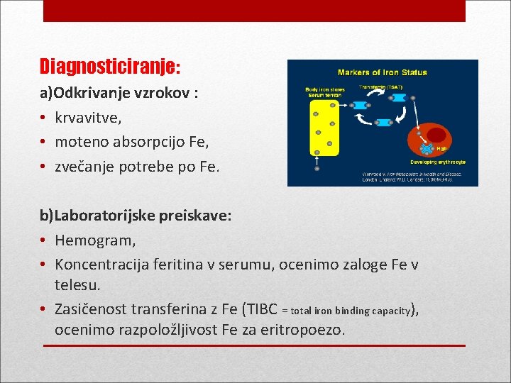 Diagnosticiranje: a)Odkrivanje vzrokov : • krvavitve, • moteno absorpcijo Fe, • zvečanje potrebe po