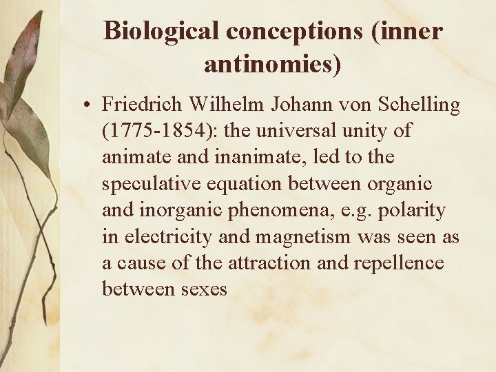 Biological conceptions (inner antinomies) • Friedrich Wilhelm Johann von Schelling (1775 -1854): the universal