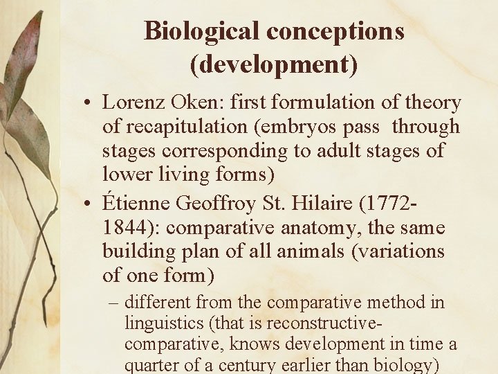 Biological conceptions (development) • Lorenz Oken: first formulation of theory of recapitulation (embryos pass
