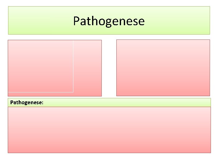 Pathogenese: 