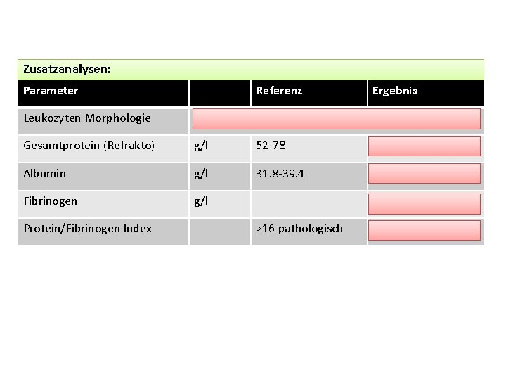 Zusatzanalysen: Parameter Referenz Leukozyten Morphologie Gesamtprotein (Refrakto) g/l 52 -78 Albumin g/l 31. 8