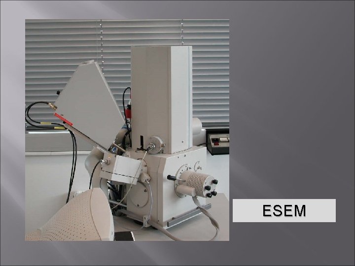 ESEM 