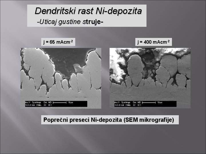 Dendritski rast Ni-depozita -Uticaj gustine struje- j = 65 m. Acm-2 j = 400