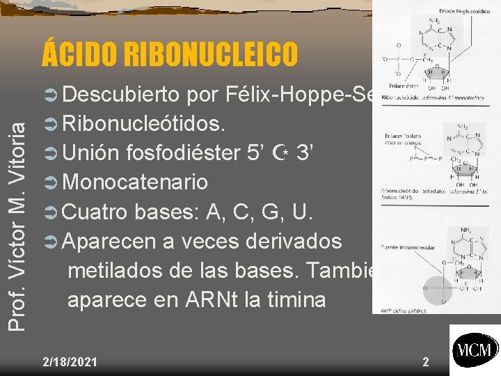 ÁCIDO RIBONUCLEICO Prof. Víctor M. Vitoria Ü Descubierto por Félix-Hoppe-Seyler. Ü Ribonucleótidos. Ü Unión