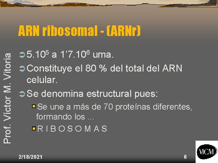 Prof. Víctor M. Vitoria ARN ribosomal - (ARNr) Ü 5. 105 a 1’ 7.