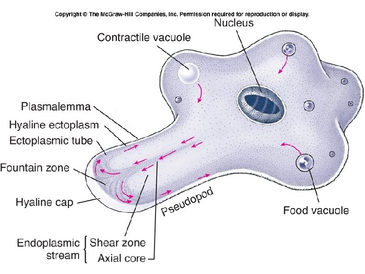 Figure 11. 10 
