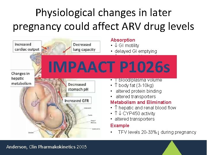 Physiological changes in later pregnancy could affect ARV drug levels Absorption • GI motility