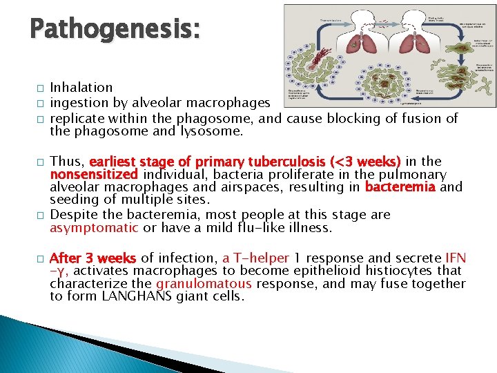 Pathogenesis: � � � Inhalation ingestion by alveolar macrophages replicate within the phagosome, and