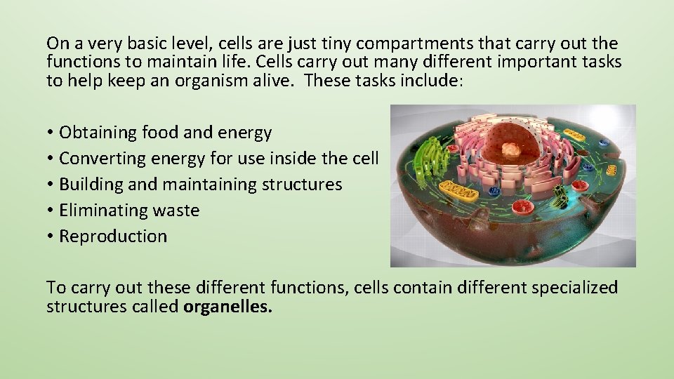 On a very basic level, cells are just tiny compartments that carry out the