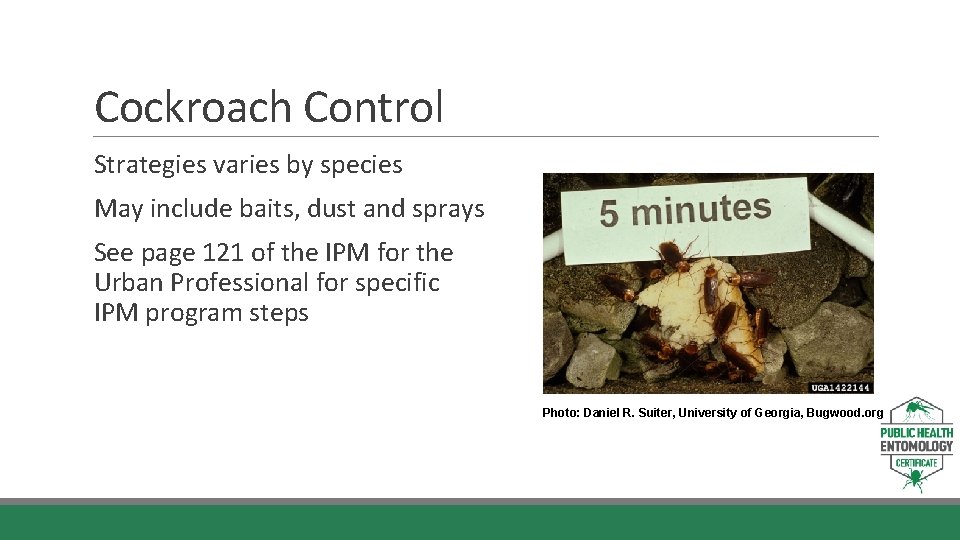 Cockroach Control Strategies varies by species May include baits, dust and sprays See page