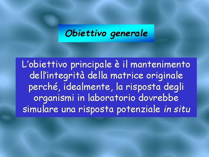 Obiettivo generale L’obiettivo principale è il mantenimento dell’integrità della matrice originale perché, idealmente, la