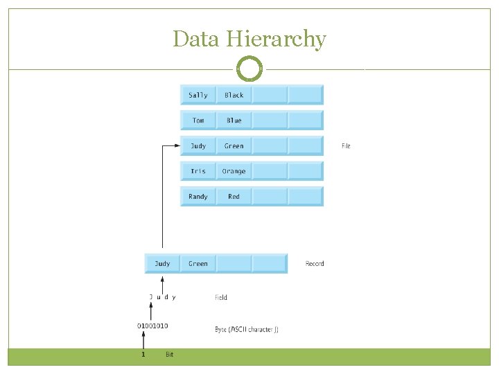 Data Hierarchy Data Hierarchy