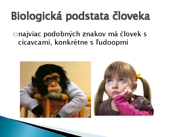 Biologická podstata človeka � najviac podobných znakov má človek s cicavcami, konkrétne s ľudoopmi