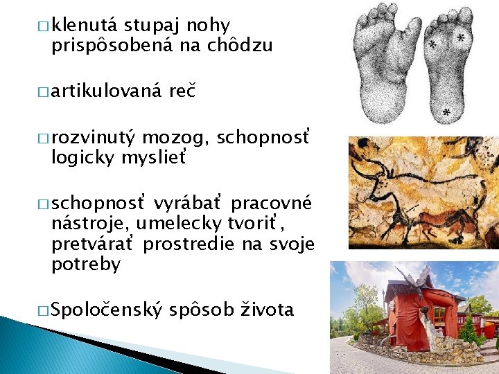 � klenutá stupaj nohy prispôsobená na chôdzu � artikulovaná reč � rozvinutý mozog, schopnosť