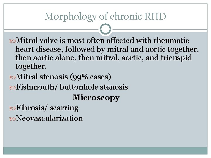 Morphology of chronic RHD Mitral valve is most often affected with rheumatic heart disease,