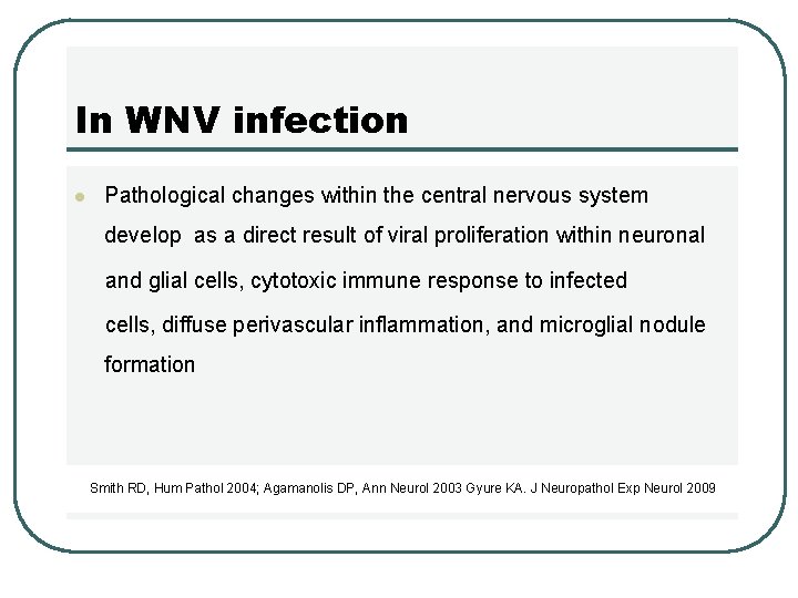 In WNV infection l Pathological changes within the central nervous system develop as a