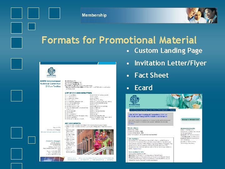 Formats for Promotional Material • Custom Landing Page • Invitation Letter/Flyer • Fact Sheet