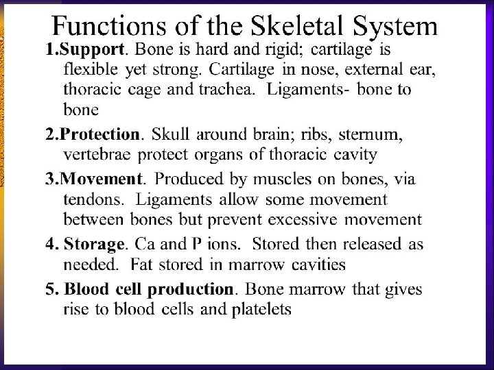 Functions of Bones 