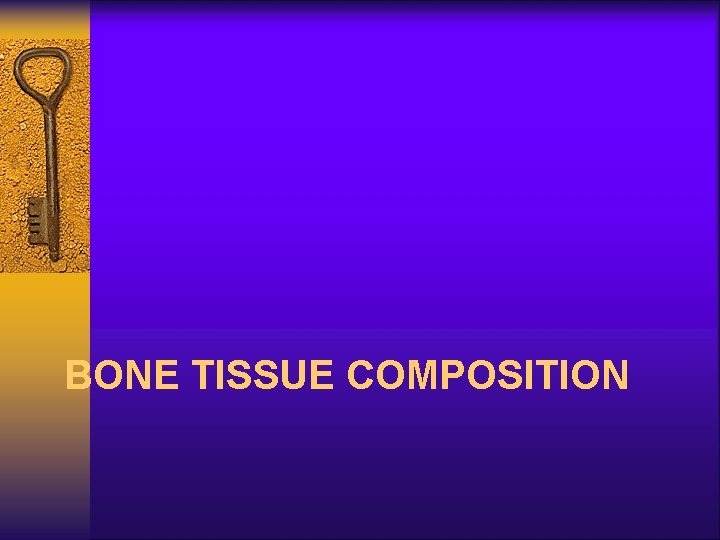 BONE TISSUE COMPOSITION 