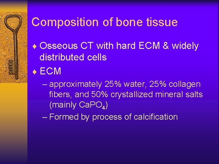 Composition of bone tissue ¨ Osseous CT with hard ECM & widely distributed cells