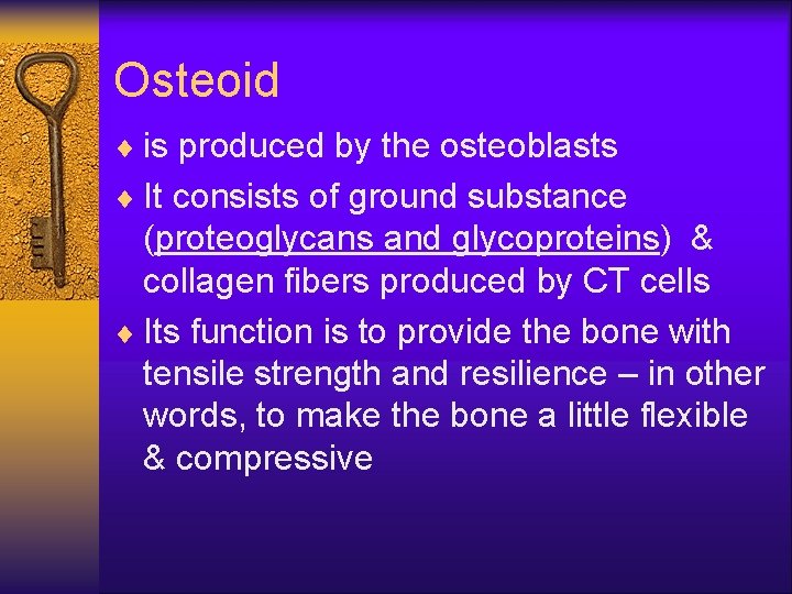 Osteoid ¨ is produced by the osteoblasts ¨ It consists of ground substance (proteoglycans