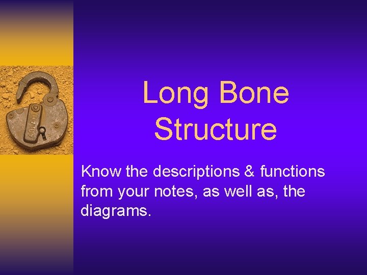 Long Bone Structure Know the descriptions & functions from your notes, as well as,