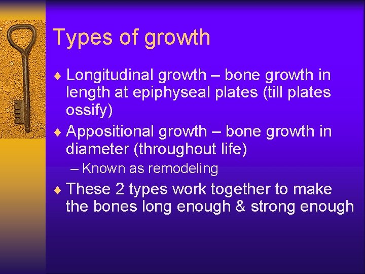 Types of growth ¨ Longitudinal growth – bone growth in length at epiphyseal plates