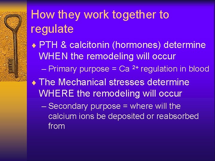 How they work together to regulate ¨ PTH & calcitonin (hormones) determine WHEN the