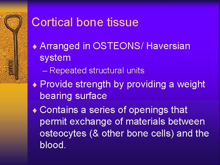 Cortical bone tissue ¨ Arranged in OSTEONS/ Haversian system – Repeated structural units ¨
