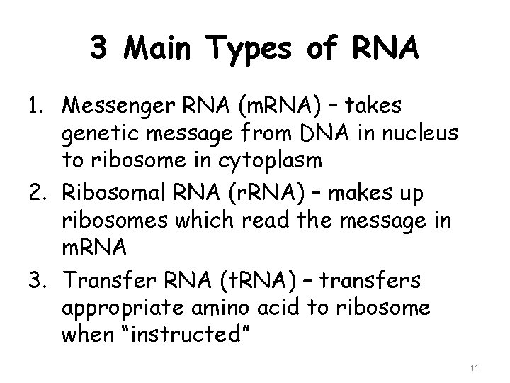 3 Main Types of RNA 1. Messenger RNA (m. RNA) – takes genetic message